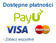 Płatności 2